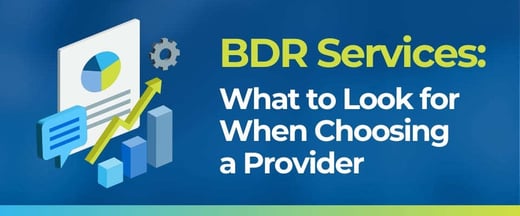 BDR Services: What to Look for When Choosing a Provider