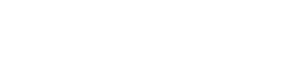Surfe-Logo-Inverted-T