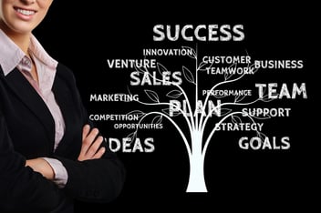 revenue operations is comprised of many components