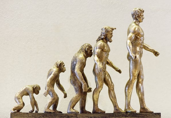 Images of the evolution of man.