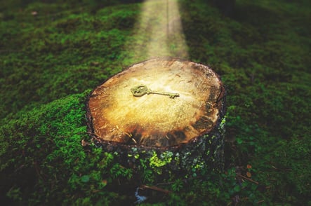 Unlocking the Potential of ABM: How to Know When It's Right for Your Business