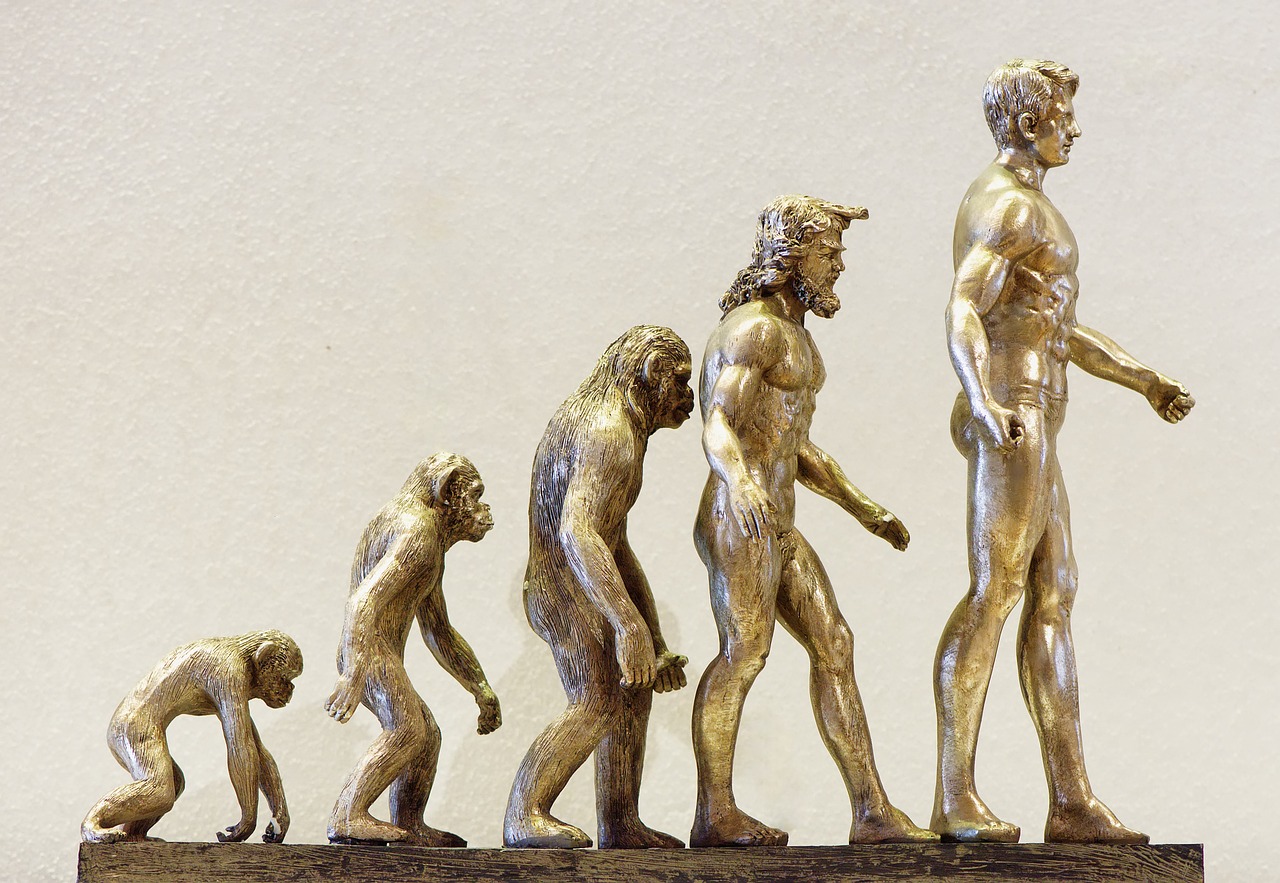The Evolution of Sales: A Guide for the Modern Sales Professional